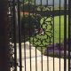 Custom Ornamental Iron Garden Gate