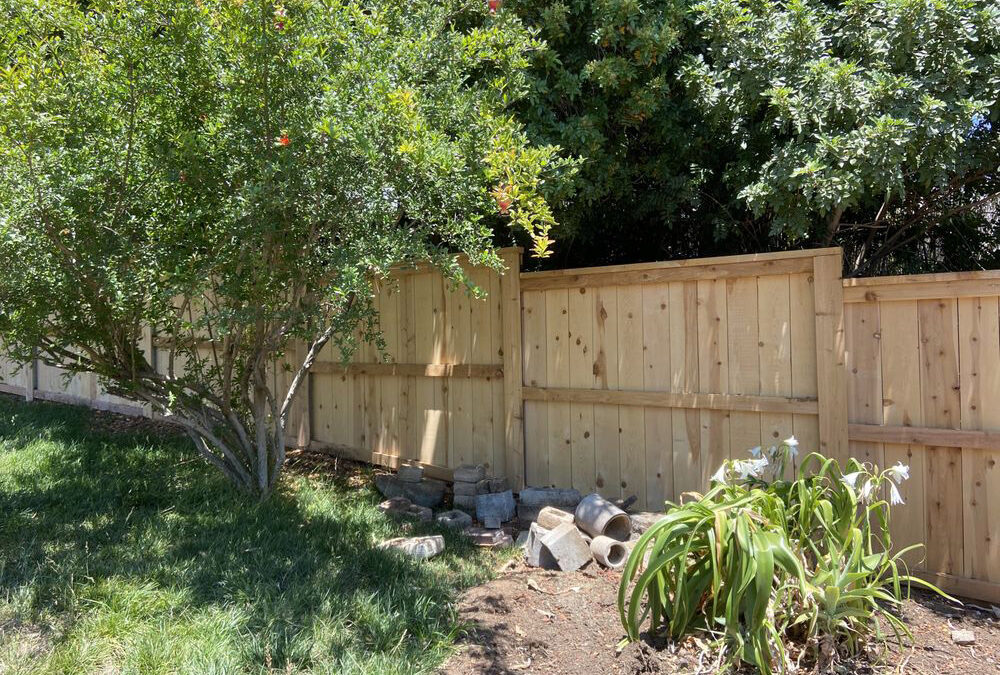 Backyard Wood Privacy Fence