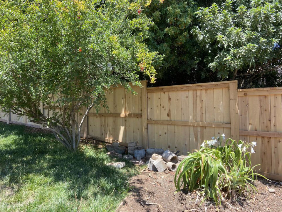 Backyard Wood Privacy Fence