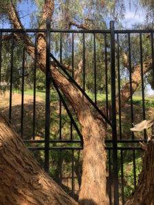 Custom Iron Fence Panels