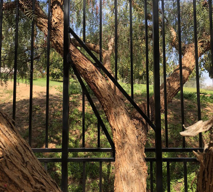 Custom Iron Fence Panels