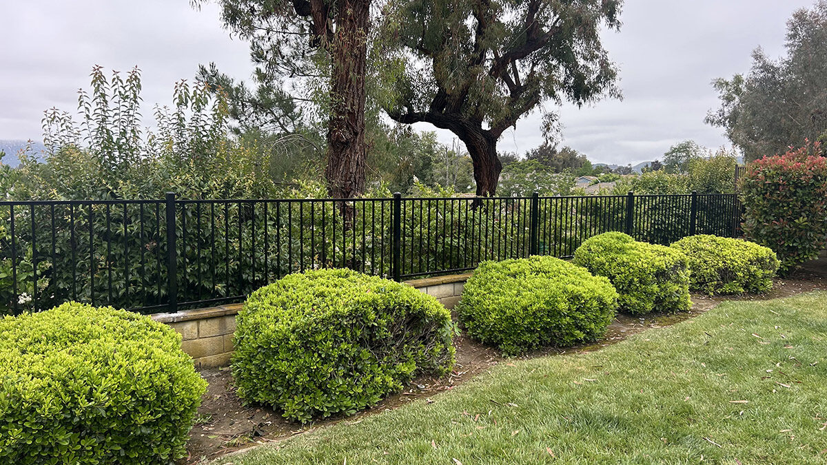 Temecula Standard Wrought Iron Fencing