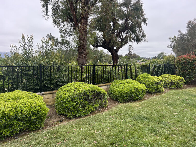 Standard wrought iron perimeter fencing