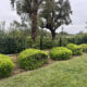 Temecula Standard Wrought Iron Fencing